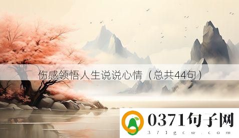 伤感领悟人生说说心情（总共44句）