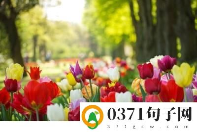 ​适合深夜发的搞笑说说 朋友圈睡前发的晚安说说