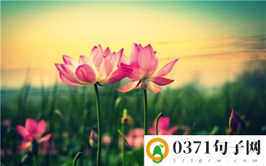 ​关于彩虹的说说 朋友圈发彩虹配的文字