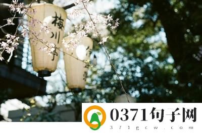 ​夜晚发朋友圈的说说 朋友圈发个性说说(30条)
