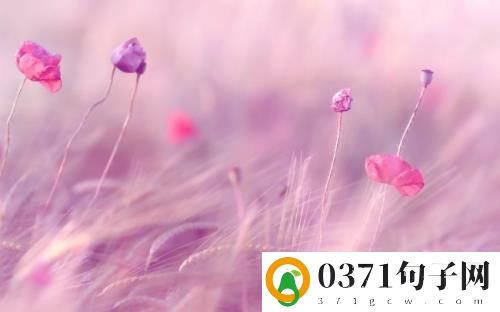​2023年拜年朋友圈说说大全