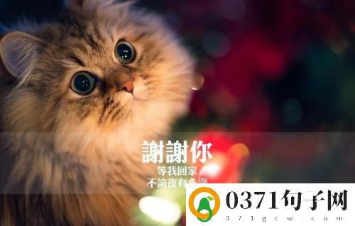 ​初一发朋友圈 怎么
