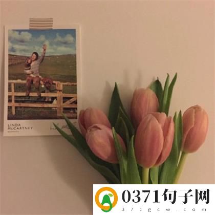 今日晨语图片欣赏