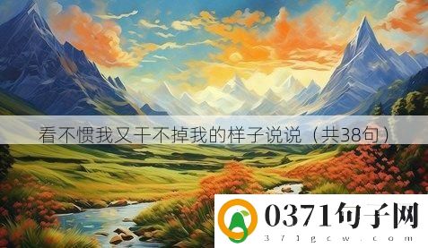 看不惯我又干不掉我的样子说说（共38句）