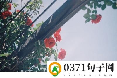​微信朋友圈人生感悟 2023年最新朋友圈说说