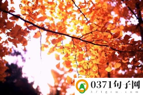 2023网络用语字母缩写