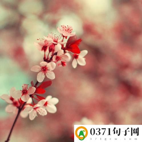2023新年祝福语简短