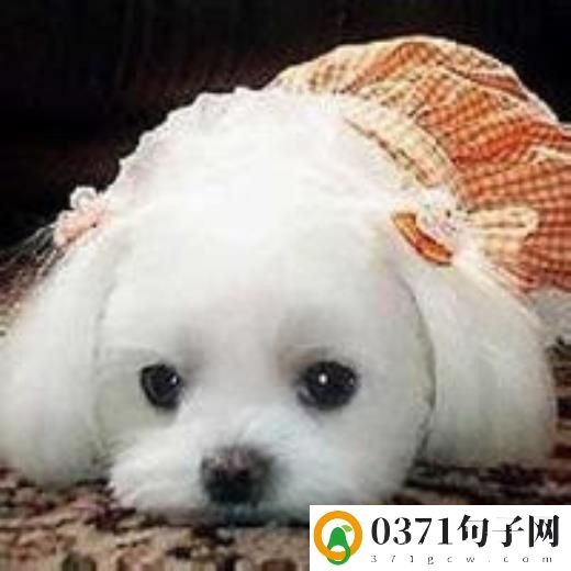 ​特别开心的说说发朋友圈